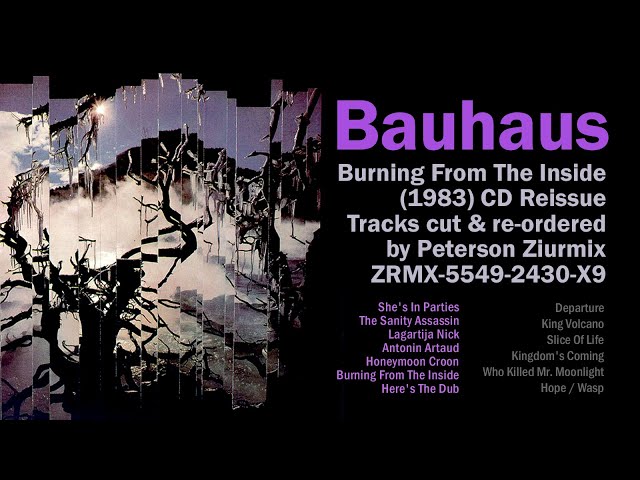 Bauhaus – Burning From The Inside 日本盤 LP Bauhaus - Burning From The Inside (Reissue) - Vinyl | Nuclear Blast