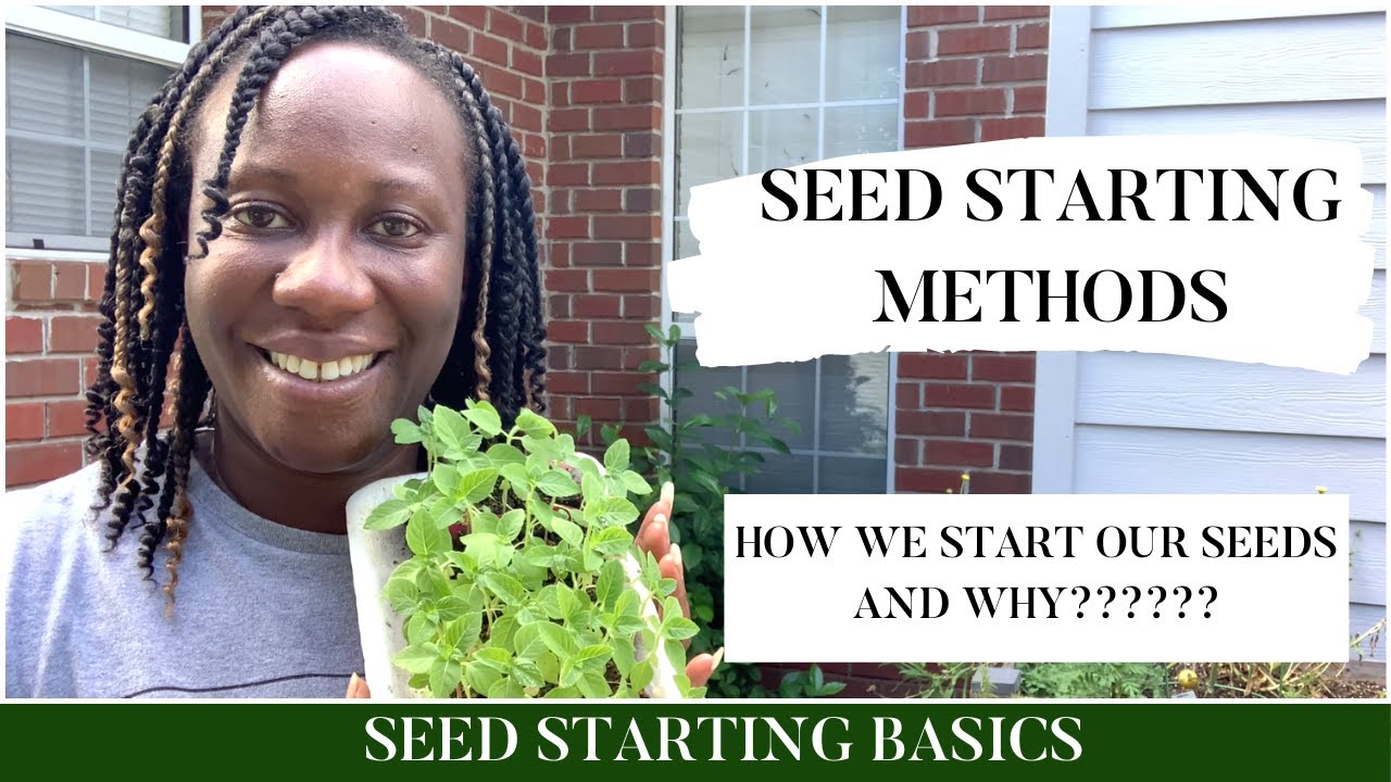 Different Methods on Seed StartingHow We Start Our SeedsSeed Starting