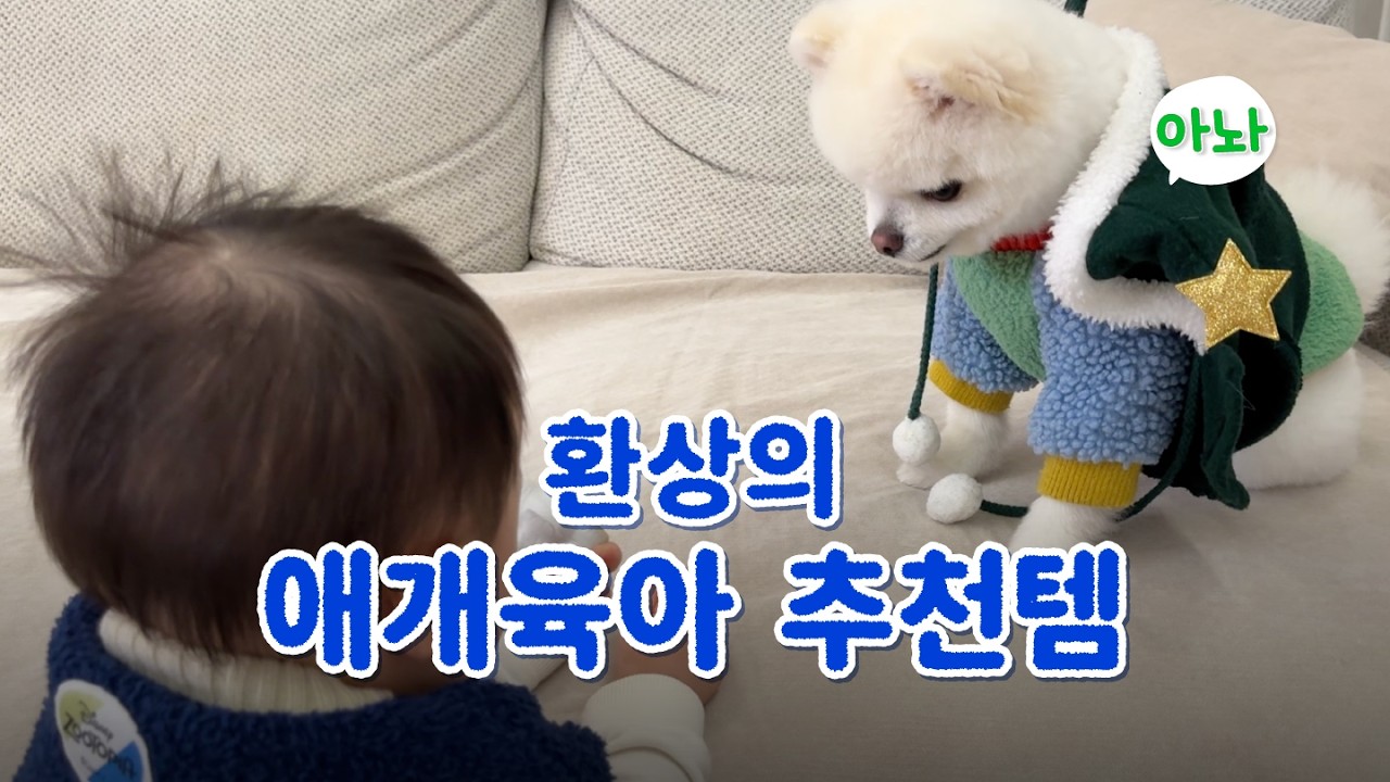 현실 애개육아 추천템 👶🏻🍼🐶 네 것 내 것 경계 없는 우당탕탕 짭짤한 예준이네 ｢ 밥은 멍고 다니냥 ｣