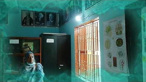 Science Laboratory | হাটহাজারী বালিকা উচ্চ বিদ্যালয় ও কলেজের বিজ্ঞানাগার | T L B