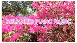 [Relaxing Piano Music]#휴식을위한음악#피아노#자작곡#숙면을위한음악 #집중하기좋은Piano연주 #힐링 #랜선여행 #힐링영상