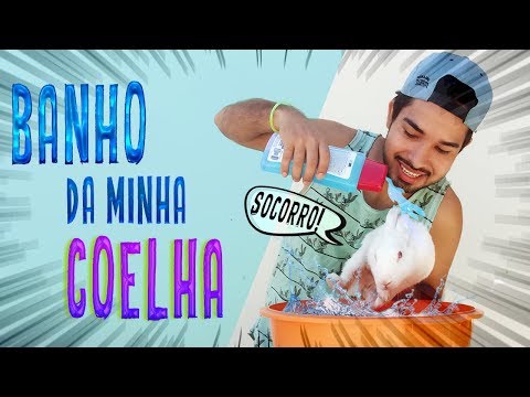 Vídeo: Como Dar Banho Em Um Coelho