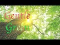 Soothing Relaxation Music For Stress Relief - Gentle Green Sound - Music For Sleep, Study, Work