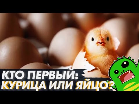 Видео: Почему они называют это курицей общего цо?