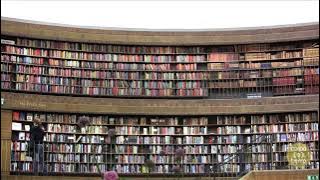 Videoadanzas corpo(a)terra 2013