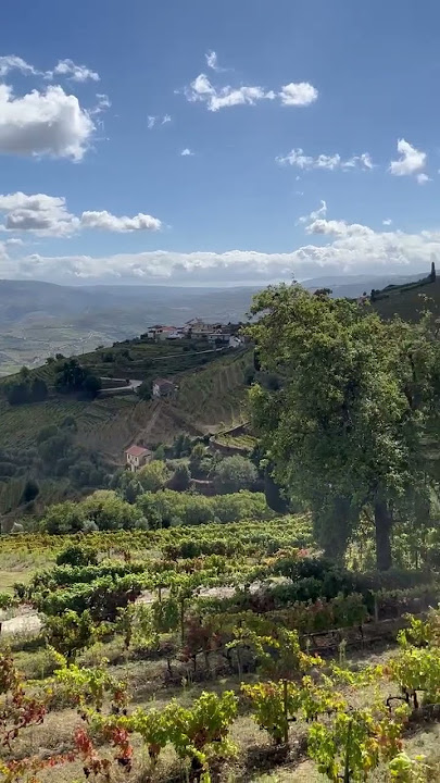 Singing ‘Shallow’ in the Heart of Douro Valley, Portugal. #travel #wine