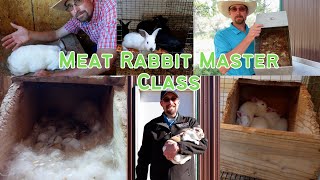 Raising Meat Rabbits: The Ultimate Guide