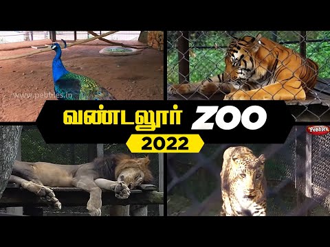 VANDALUR ZOO 2022 | Arignar Anna Zoological Park,Vandalur,Chennai | Chennai ZOO