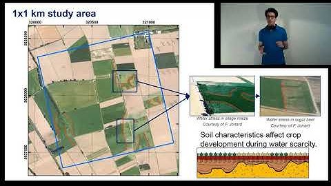 Simulation of spatial variability in crop leaf area index and yield using agroecosystem modeling