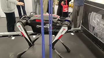 World Fastest Robot Dog Black Panther 2.0 - 11/18/2025