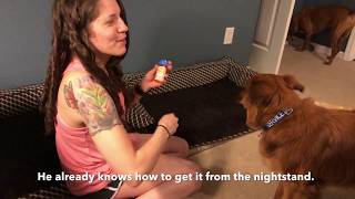 Service Dog Task Tutorial: Retrieve Medicine