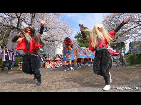 Lion dance of Mikanishiki-cho: Baby lion revived after more than