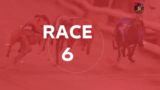 Monmore Greyhounds - Races on Tuesday 16th June 2026
