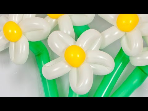 Video: Cara Membuat Bunga Aster Dari Balon