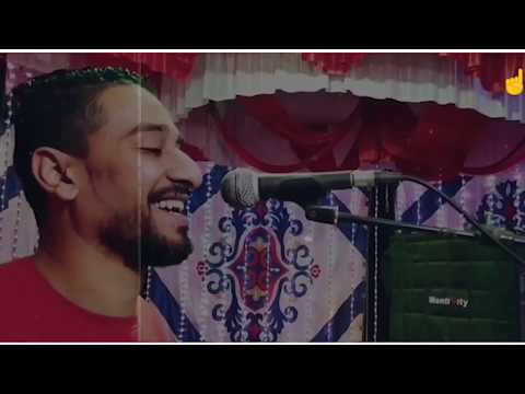 زينوبه لؤى النقيب