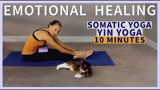 Somatic Vagus Nerve Healing Yin Yoga For Emotional Dysregulation 10-Min Yin Yoga Sequence