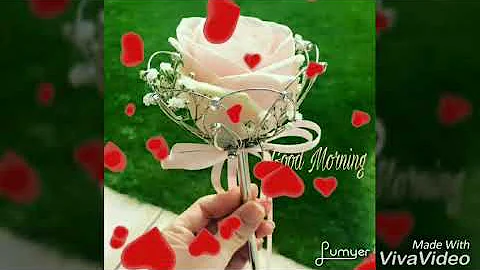 GOOD MORNING video  - Whatsapp, Wishes, Quotes, Message, Greetings - DayDayNews