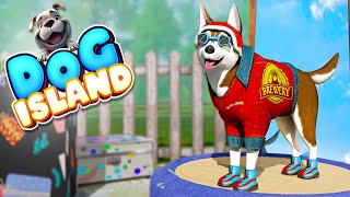 Puppy Island Gameplay