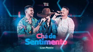 Felipe e Murillo ft. Luan Pereira -  Chá de Sentimento (Oficial)