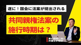 遂に！共同親権法案が国会に提出！注目の施行時期は？弁護士が解説