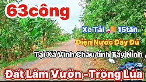 Bán 💥 63công đất lúa 3vụ 👉 Mặt tiền lộ xe tải 15tấn /tại xã Vĩnh Châu tỉnh Tây Ninh 👉 LH0335535649