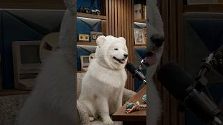 Is It A Tax Refund Or Just An Expensive Coping Mechanism Fund?