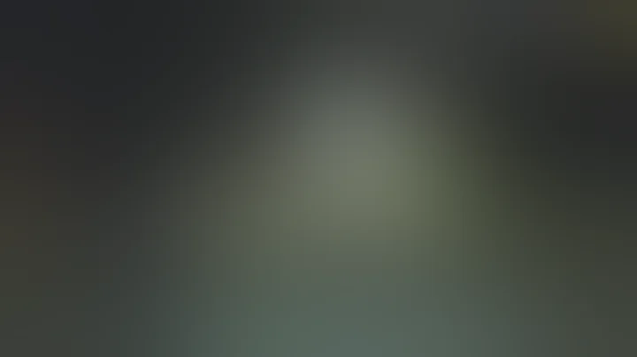 Officials release new details, bodycam footage fro...