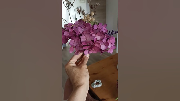 kleiner Hortensienstrauß🌺