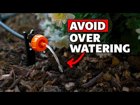 How Often Should You Turn on Your Drip Irrigation System?