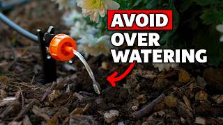 How Often Should You Turn on Your Drip Irrigation System?