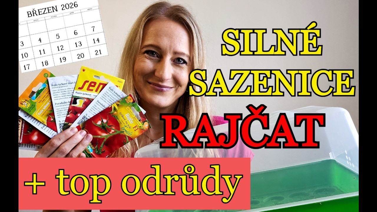 🍅 RAJČATA | Velký výsev RAJČAT - předpěstujte si SILNÉ SAZENICE + TOP odrůdy - praktická ukázka