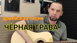 Армейская песня | ЧЁРНАЯ ТРАВА | Андрей Буков #армейские #чернаятрава