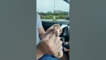 Cáp sạc 4in1 lò xo gọn gàng trên ô tô xịn xò #anhthereview #phukienoto