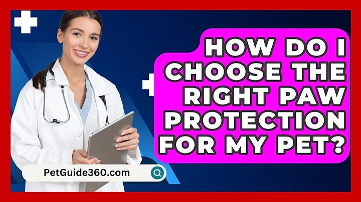 How Do I Choose The Right Paw Protection For My Pet? - PetGuide360.com