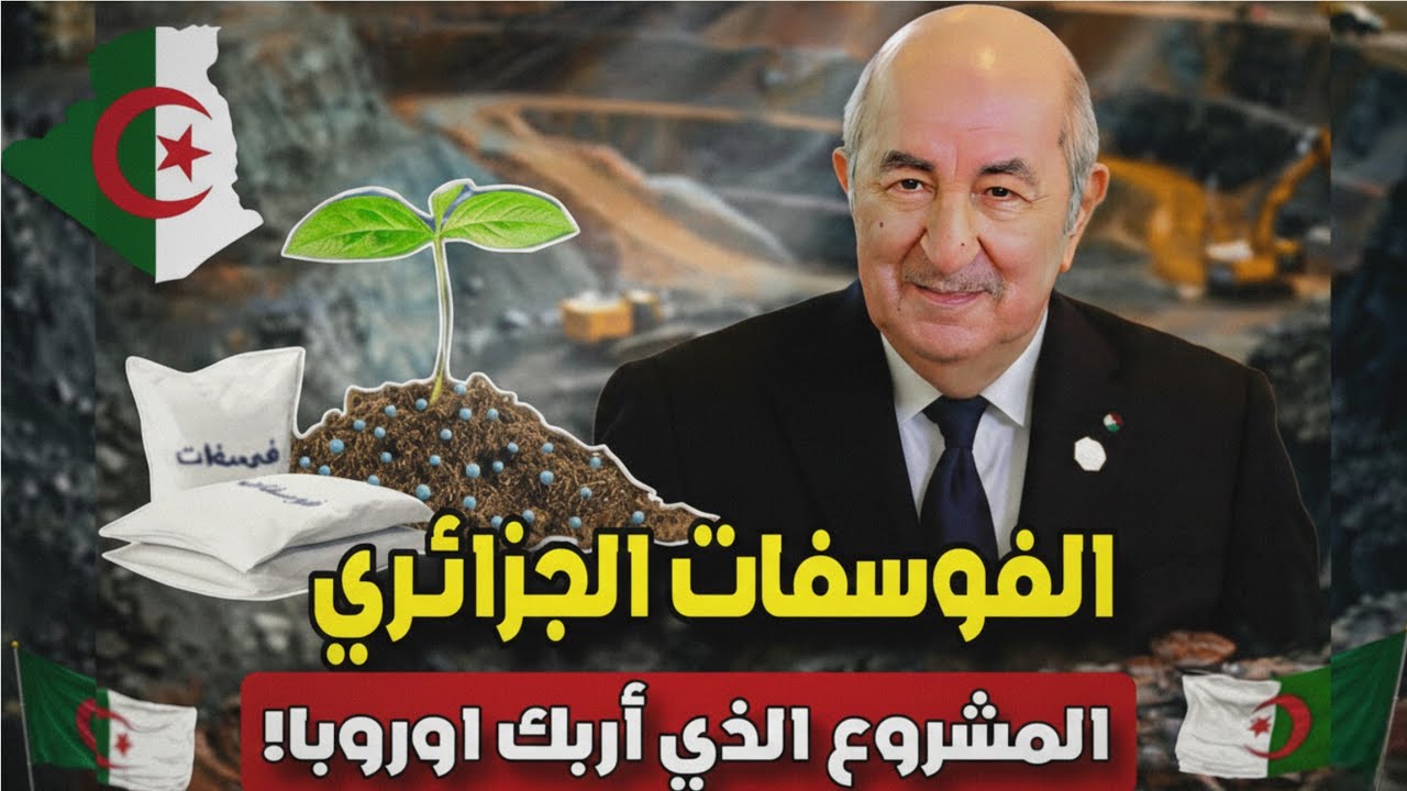 الفوسفـات الجزائـري.. الذهب الأبيض الذي سيغيّر قواعد التعدين في 2026