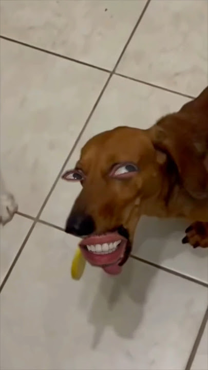 تجربة الليمون فيديو مضحك 😁😁 ام سيف ونانو