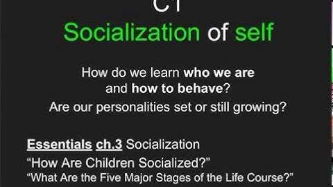 C1a1 Socialization Stages Self lecture