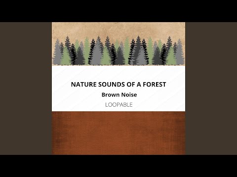 Tonton [Brown Noise] Forest Waters - Loopable di YouTube
