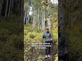 Windy Pass colors