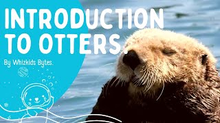 Otters 101: Discover the Playful World of Nature's Water Pups! 🌊🐾