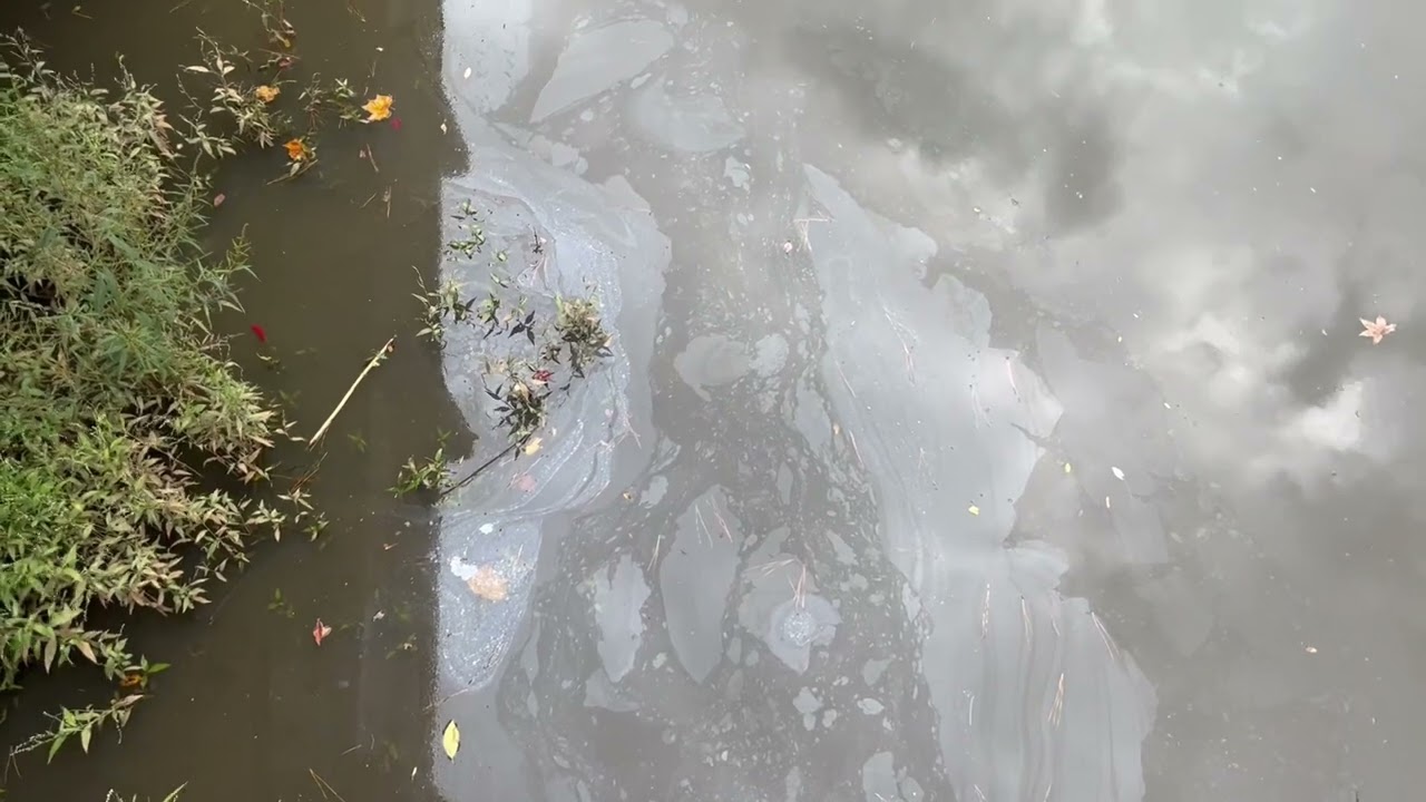 Early fall bass fishing