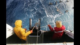 Reportage : L'or bleu des Kerguelen