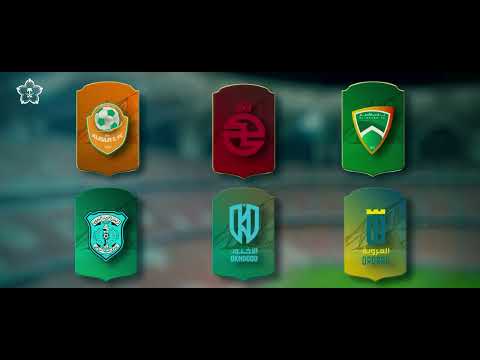 تخصيص الأندية الرياضية خطوات طموحة نحو مستقبل رياضي احترافي ومستدام