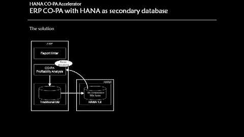 SAP HANA - CO-PA Accelerator (Short Overview)