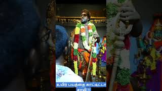 உயிர் பயத்தை காட்டிட்டான் சாமி !!! #funnyvideo #funnyshorts #funnyvideo #funnymemes #god -True Tamil