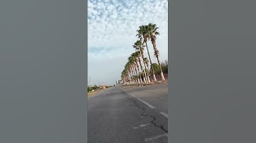 تلاوة خاشعة #اكسبلور #ريلز #المصحف #الرحمن #ريلز #راحة_نفسية