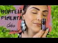 ÓLEO PEPPERMINT da DOTERRA | Xô desânimo, fadiga, depressão e dor de estômago! | Camila Rodrigues