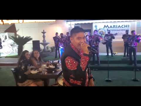 Mis Dos Vicios - Mariachi Internacional De México