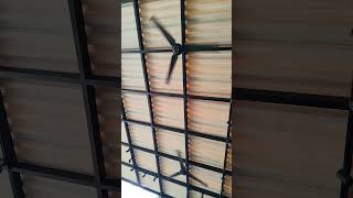 lasko fan ventilador #ventilador #fan #shorts #shortvideo
