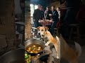 小狗闻到锅里有毒,拯救了一家人A little dog saved a family by smelling the poison in the pot.